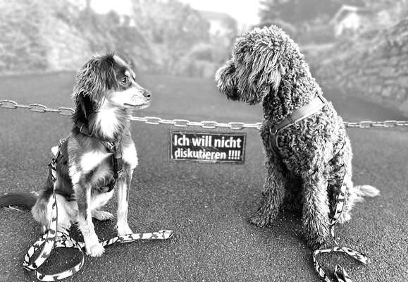 3. Farben/Fotochallenge: Schwarz/Weiß-Beitrag-Bild