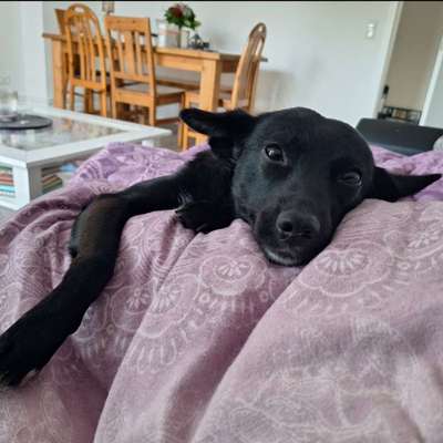 Janika 's Profilbild