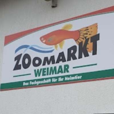 Hundeshops-Zoo-Markt-Bild