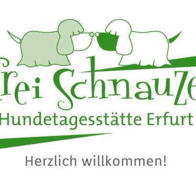Weitere Unternehmen frei schnauze Hundetagesstätte in Erfurt Gispersleben – Dogorama