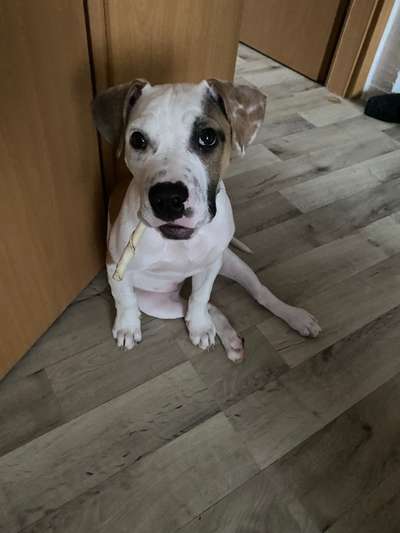 Lieblingsbild :D-Beitrag-Bild