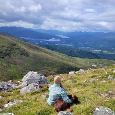 Hundetreffen-Setter zum Spazieren und Toben gesucht