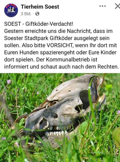 Giftköder-Giftköder im Stadtpark!-Bild