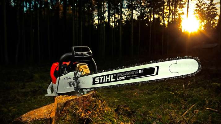 Die wunderschöne Welt mit Hund.-Beitrag-Bild