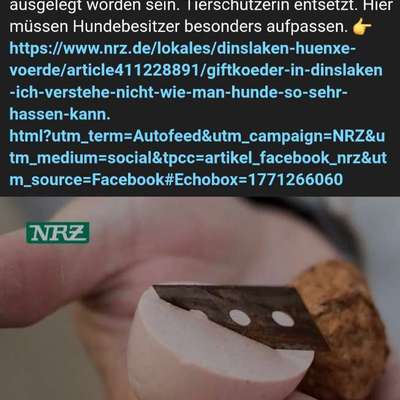 Giftköder-Wurst mit Rasierklingen-Bild