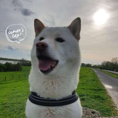 Ju❤️Kaya's Profilbild