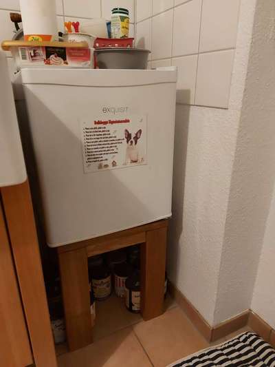 Du weißt, du hast einen Hund wenn...-Beitrag-Bild