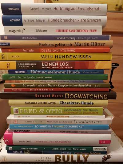 Hunde-Fachliteratur-Beitrag-Bild