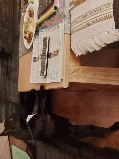 Das ABAM-Konzept Erfahrungsaustausch-Beitrag-Bild