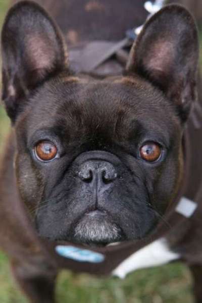 Fotochallange Nr. 57     PORTRÄT.   Beendet!!!!!!!!-Beitrag-Bild