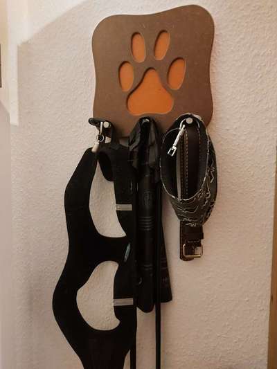 Zeig mir, dass du mit einem hund zusammenlebst....-Beitrag-Bild