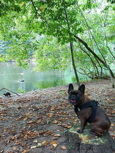 27. Handy Fotochallenge-Beitrag-Bild