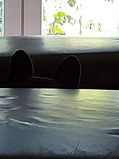 Blick fürs Detail!-Beitrag-Bild