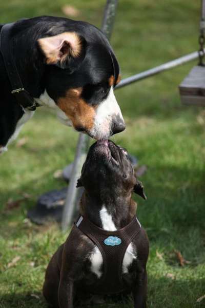 Fotochallenge liebespaare-Beitrag-Bild