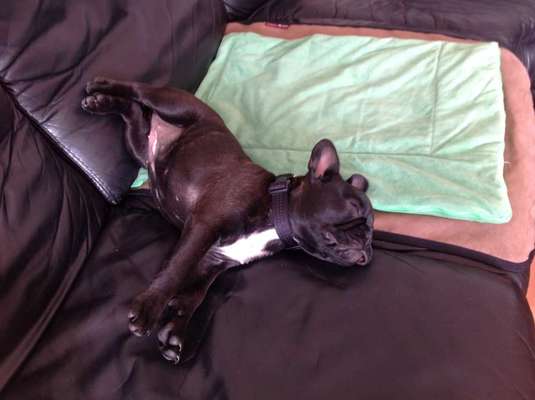 Die unbequemsten und lustigsten Schlafpositionen-Beitrag-Bild