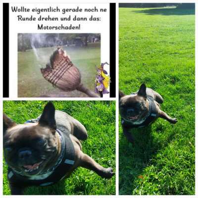 FOTO CHALLENGE Thema ,,durchdrehen"-Beitrag-Bild