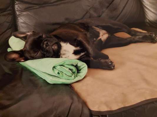 Foto Challenge Nr. 134-Beitrag-Bild