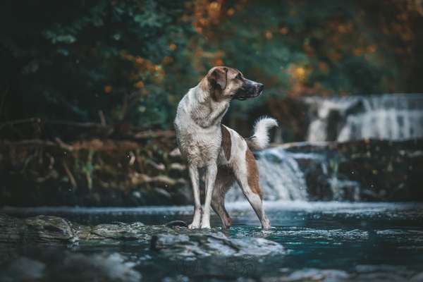 Fotowettbewerb Natur-Beitrag-Bild