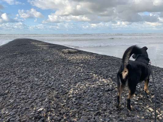 Fotochallenge Nr.100 Urlaubsimpressionen-Beitrag-Bild