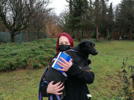 Das erste Foto-Beitrag-Bild