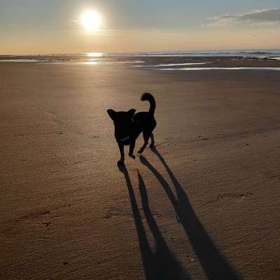 Tipps Fort Mahon/ Quend Plage Frankreich-Beitrag-Bild