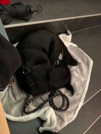 Impulskontrolle Challenge Nr.: 7
         "Gesellschaftsfähig"-Beitrag-Bild