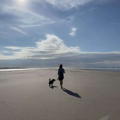 Tipps Fort Mahon/ Quend Plage Frankreich-Beitrag-Bild