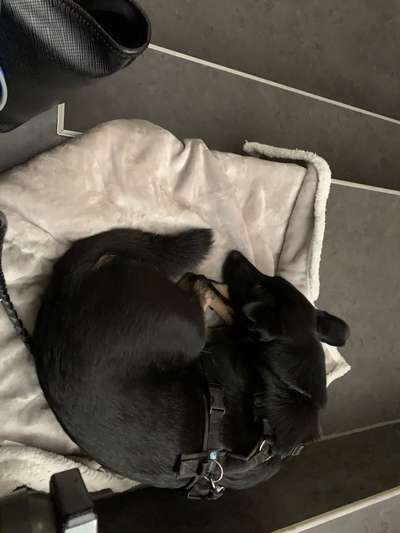 Impulskontrolle Challenge Nr.: 7
         "Gesellschaftsfähig"-Beitrag-Bild