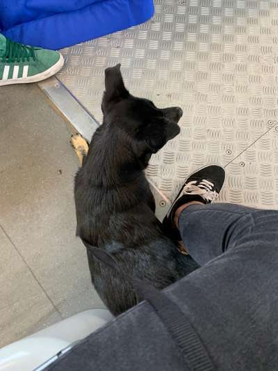 Impulskontrolle Challenge Nr.: 7
         "Gesellschaftsfähig"-Beitrag-Bild