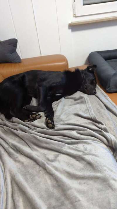 Foto Challenge Nr. 134-Beitrag-Bild