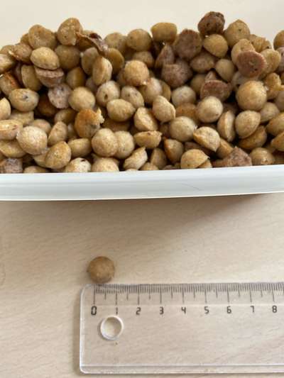 Wie hoch soll der Fleischanteil sein?-Beitrag-Bild