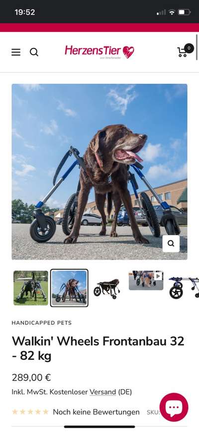 Laufhilfe- Rollwagen-Beitrag-Bild