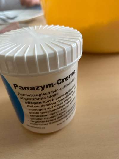 Hund mit Orthese-Beitrag-Bild