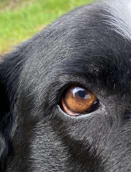 150. Foto Challaenge:  Die Augen, der Spiegel der Seele-Beitrag-Bild