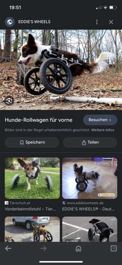 Laufhilfe- Rollwagen-Beitrag-Bild
