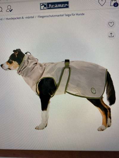 Hirschlausfliegen-Beitrag-Bild