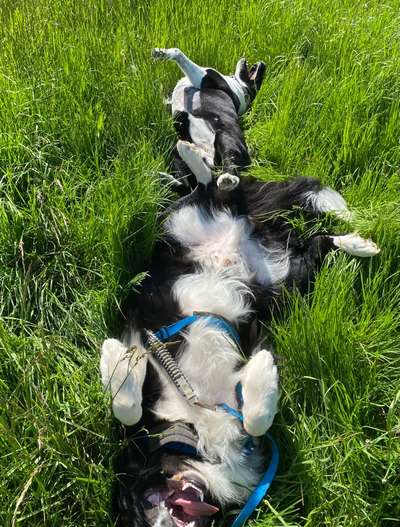 Foto Challenge - Zeigt her eure Bäuche-Beitrag-Bild