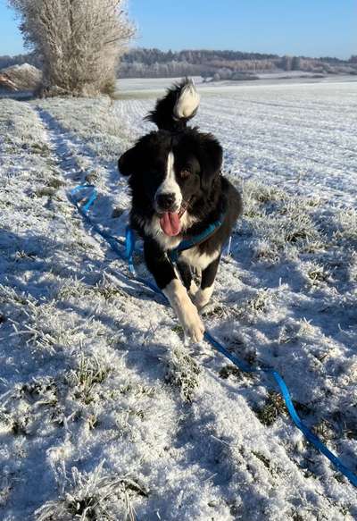 Verspielt-Beitrag-Bild