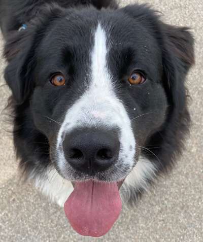 150. Foto Challaenge:  Die Augen, der Spiegel der Seele-Beitrag-Bild