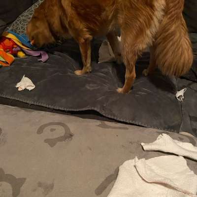 Wie habt ihr den Silvesterabend verbracht?-Beitrag-Bild