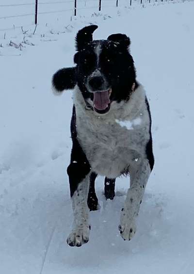 Verspielt-Beitrag-Bild