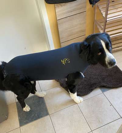 Kragen oder Post-OP-Body-Beitrag-Bild