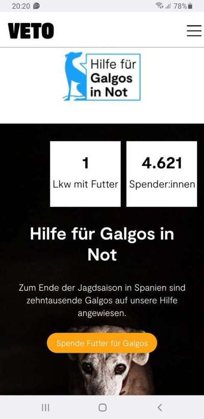 Windhunde - Treffen der besonderen Schönheiten
HERZLICH WILLKOMMEN-Beitrag-Bild