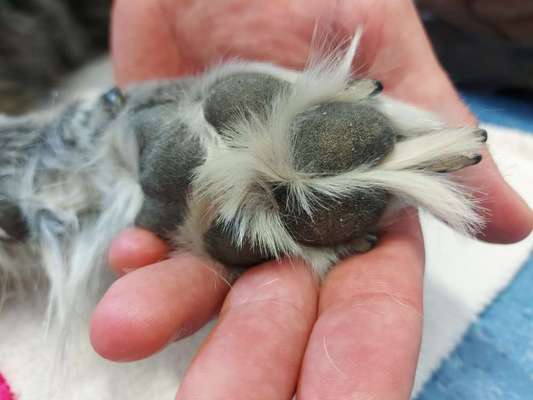 richtiger Zeitpunkt zum gehen lassen-Beitrag-Bild