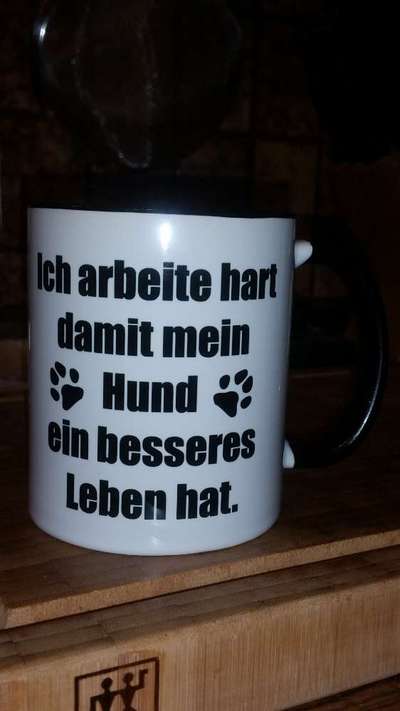 Luxusgut Hund-Beitrag-Bild