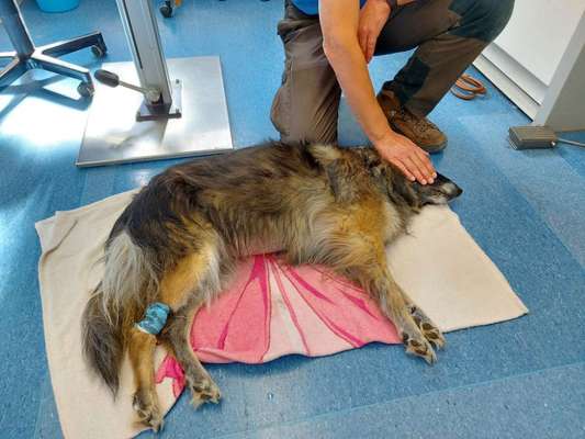 richtiger Zeitpunkt zum gehen lassen-Beitrag-Bild