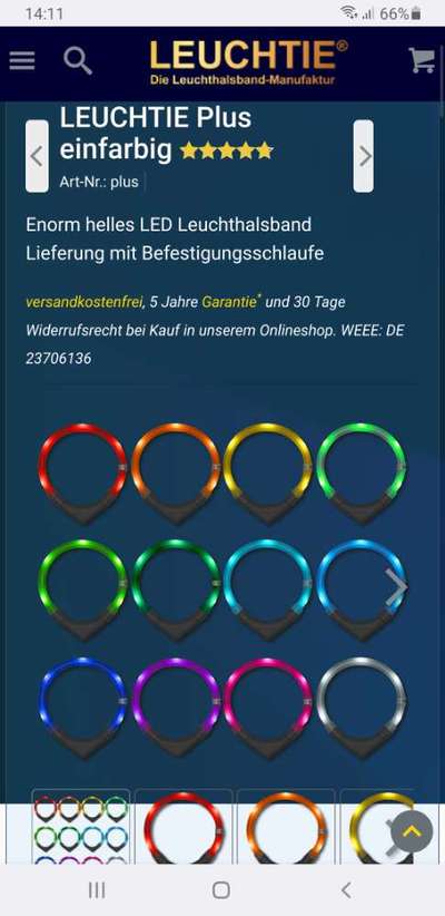 Beleuchtung im Herbst?-Beitrag-Bild