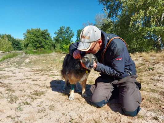 richtiger Zeitpunkt zum gehen lassen-Beitrag-Bild
