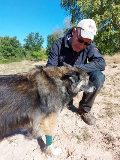 richtiger Zeitpunkt zum gehen lassen-Beitrag-Bild