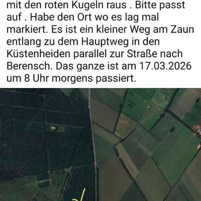 Giftköder-Würstchen mit roten Perlen-Bild